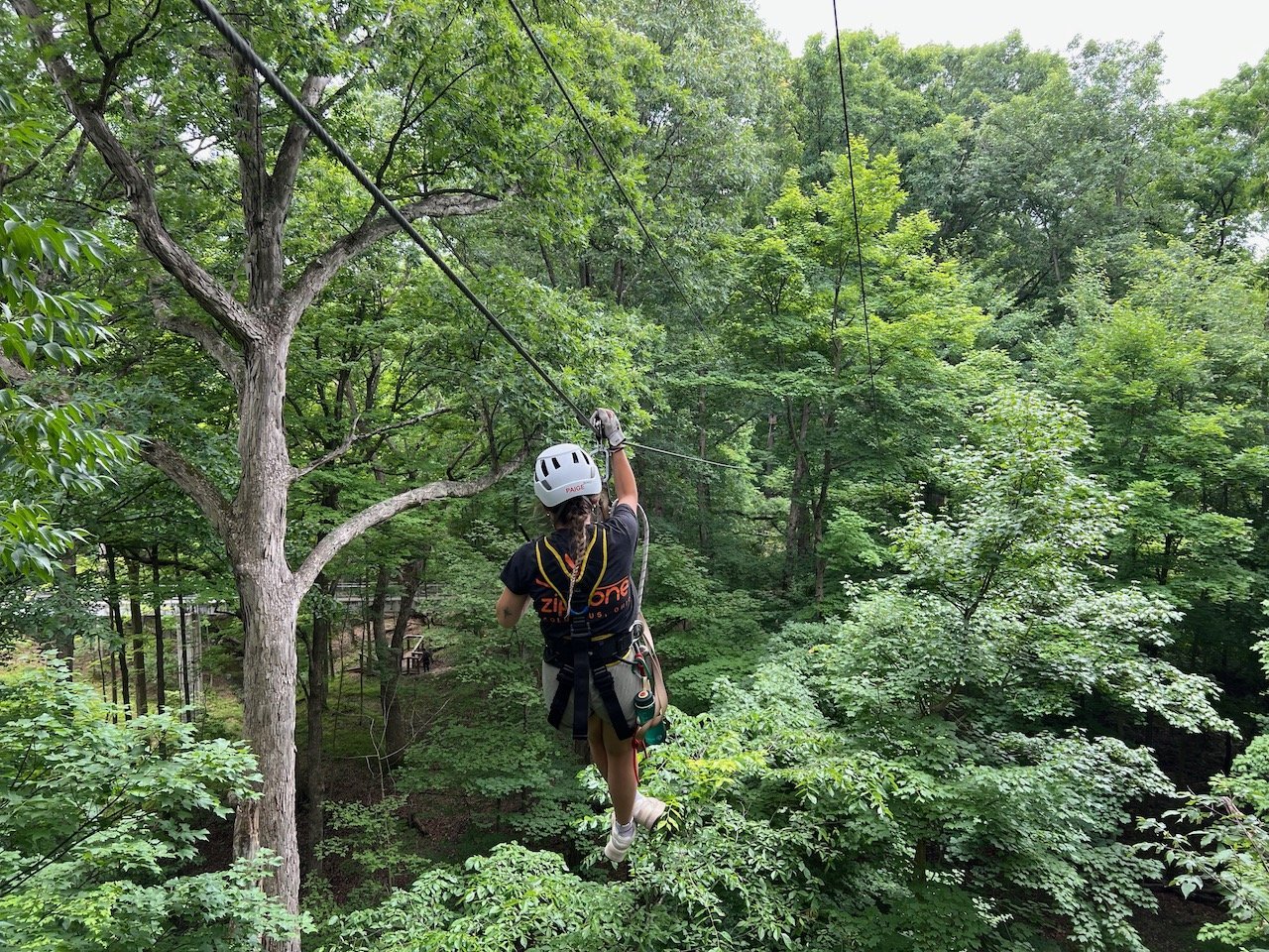 Go On a Zip Line Tour with ZipZone Outdoor Adventures